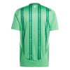 Camiseta Irlanda Del Norte Primera 2024
